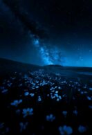 rainplanet