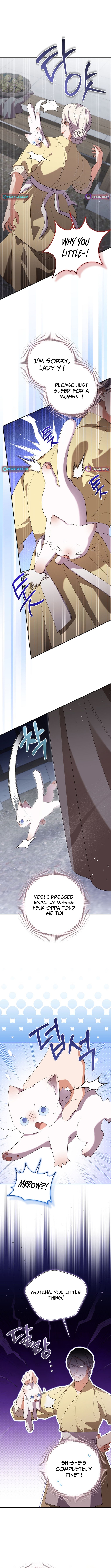 A Baby Cat Who Commands the Dog Clan Chapter 23 Page 2