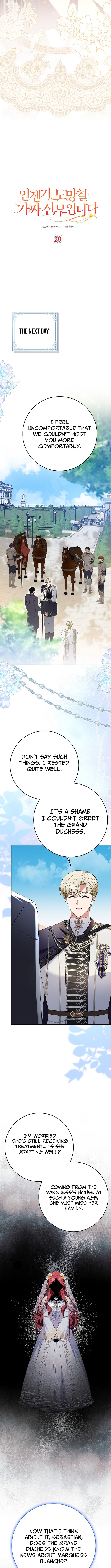 I'm a Fake Bride Who Will Escape Someday Chapter 29 Page 5
