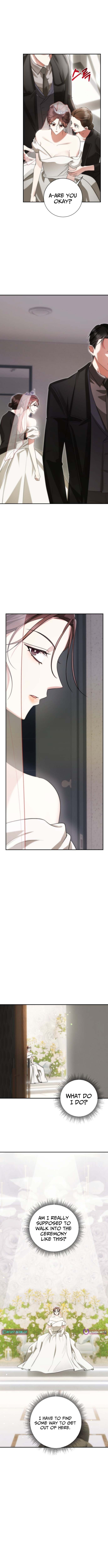 Revenge with a New Husband Chapter 2 Page 2