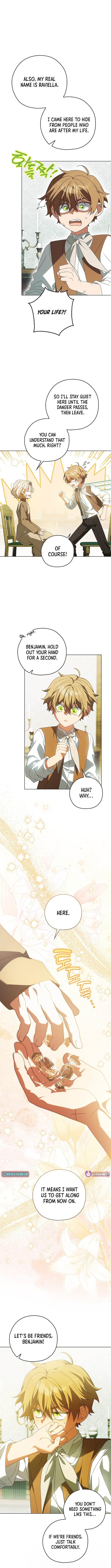 Looking For The Villainess's Contract Husband Chapter 17 Page 12
