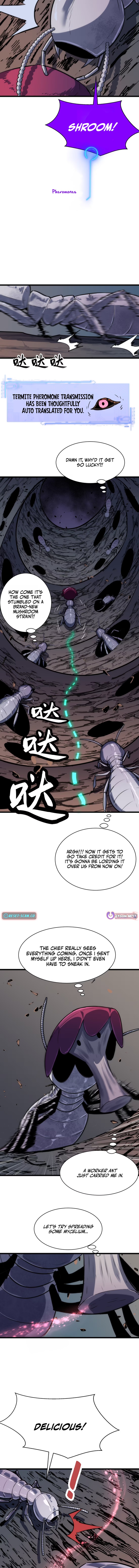 Rise of the Mushroom King Chapter 13 Page 3