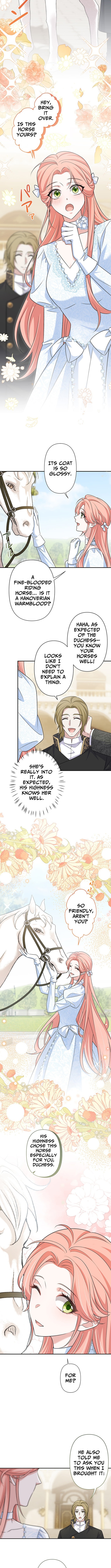 The Duchess Has Decided to Commit Adultery Chapter 17 Page 5