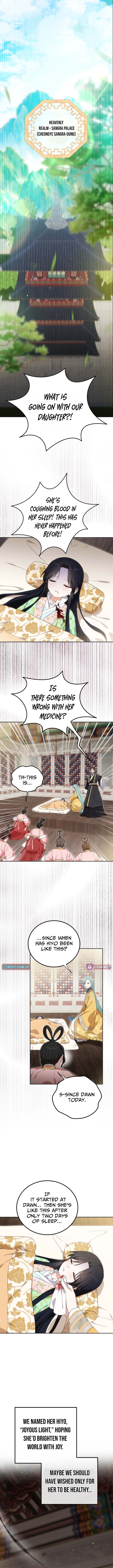 I Became the Terminally Ill Princess With No Tomorrow Chapter 17 Page 9