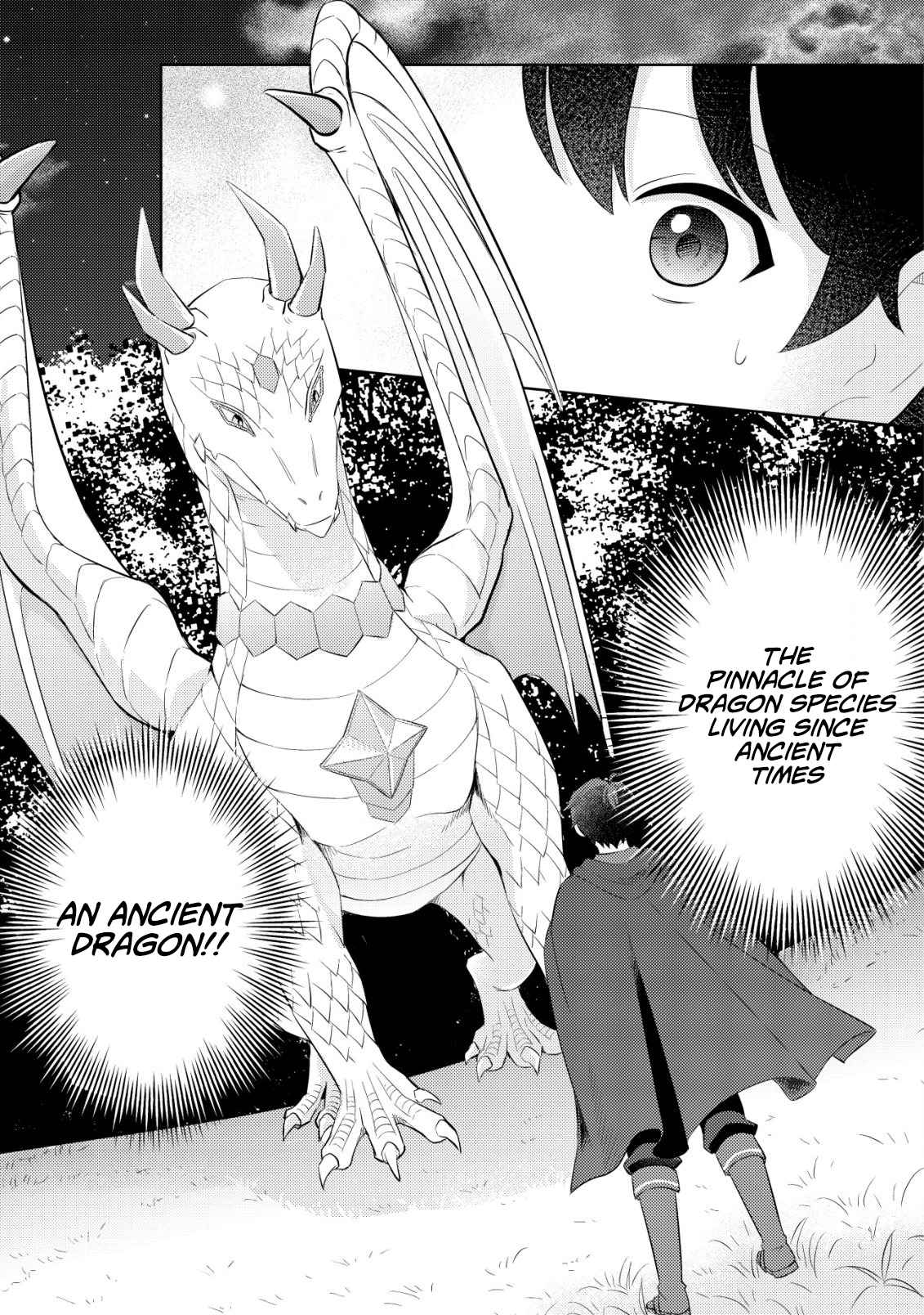 Dragon Tamer of the Divine Dragon Empire Chapter 02 Page 11